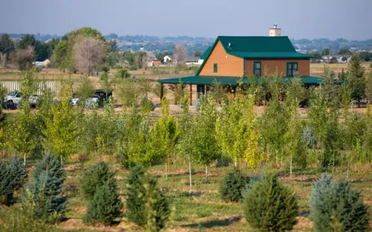 Income-producing Colorado tree farm for sale with custom home