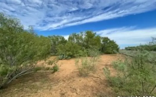Land for Sale in Jourdanton, TX