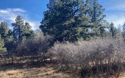 Land For Sale Log Hill, Ridgway, Colorado