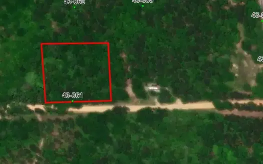 Lot #9 — No Restriction Lots – Beauregard, AL