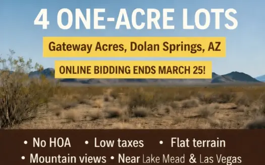 Online Auction: 4 One-Acre Lots in Dolan Springs – Ends March 25