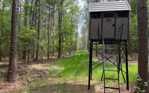 Saline Lake Hunting Property and Lodge Winn Parish LA