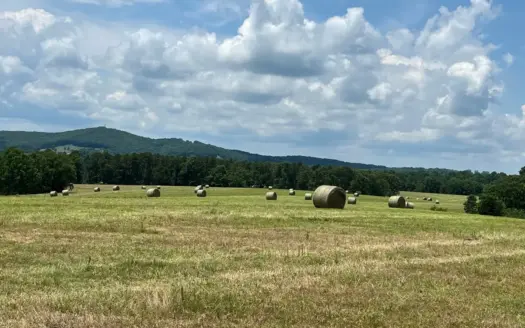 Secluded Ranch Bordering Mark Twain Nat’l Forest in Vanzant, MO