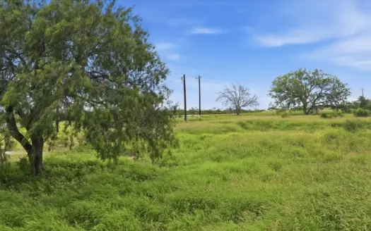 South Texas Development Property Near Three Rivers, Texas