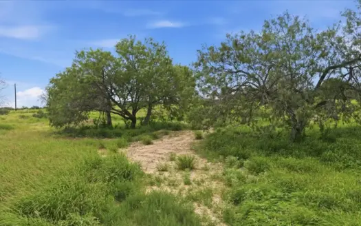 South Texas Development Property Near Three Rivers, Texas
