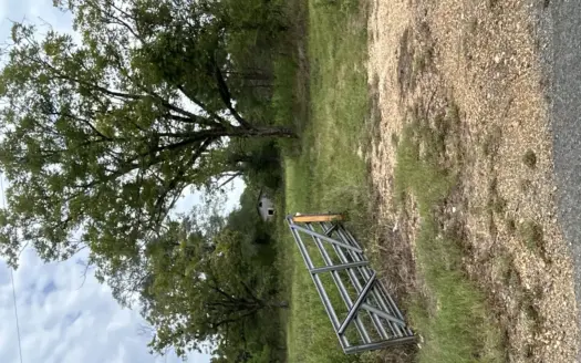 Timberland W/ Creek W/ Old Home Site near Chidester, AR for Sale