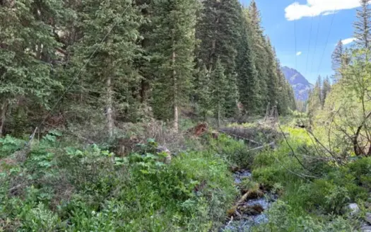 Yankee Boy Basin Mining Claim Ouray Telluride