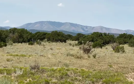 42-Acre Mountain Property – Cougar Mountain, NM
