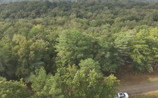 Prime 1.26-Acre Building Lot Near Town for Sale in Linden, TN