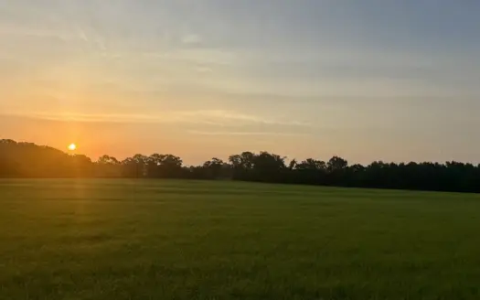 14 Acre Homesite | Geneva County | Hartford, Alabama