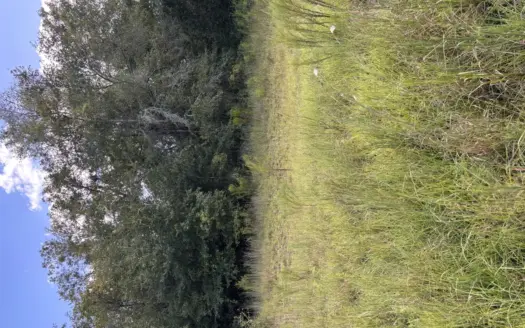 4.7 Acres in Wellborn — Build Your Dream Home