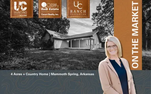 County Home + 4 Acres in the Arkansas Ozarks | Mammoth Spring