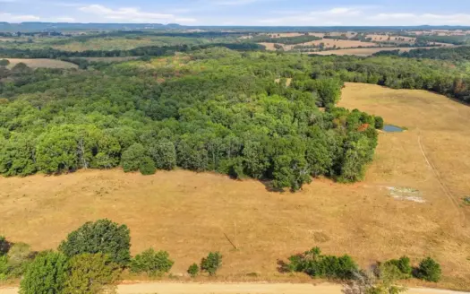 47 Acres with Two Homes Bordering National Forest