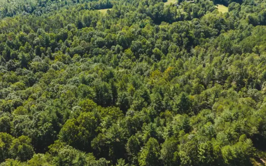 +/- 7 Acre Mountain Retreat with Creek, Well & Septic