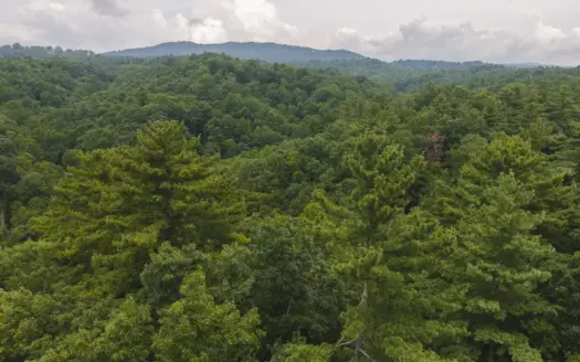 Wooded Lot for Sale in Marion NC!