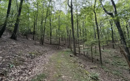 41.4 Acres Of Land For Sell In  Patrick County, Va