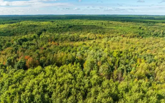204.74± acres of premier recreational and hunting land in Eau Cla