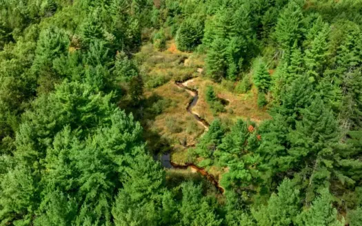 160+/- acres of Western Wisconsin hunting property Eau Claire Cty