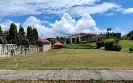 Ready-to-Build Lot in Gated Community – Nueva Gorgona