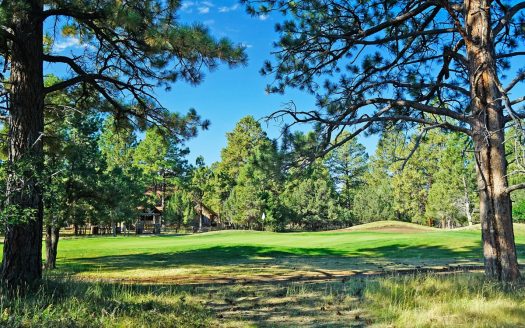 Ridgway Colorado golf property real estate listing photo 1