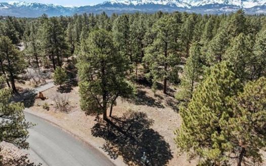 Ridgway Colorado golf property real estate listing photo 1