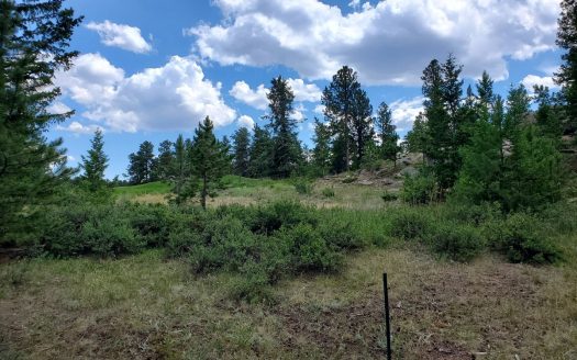 Red Feather Lakes Colorado golf property real estate listing photo 1