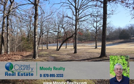 Horseshoe Bend Arkansas golf property real estate listing photo 1