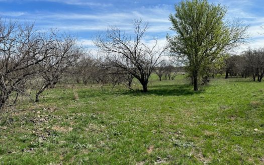 Brownwood Texas golf property real estate listing photo 1