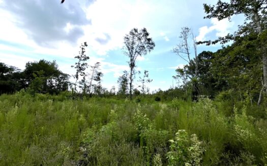 Potential Homesite For Sale Fulton, Mississippi