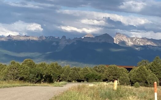 Mountain View Lot for Sale in Ridgway, Colorado