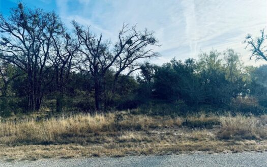 Prime Lot at 194 Willie B Drive, Brownwood, TX