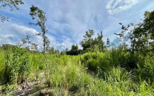Land/Homesite for Sale in Fulton, Mississippi