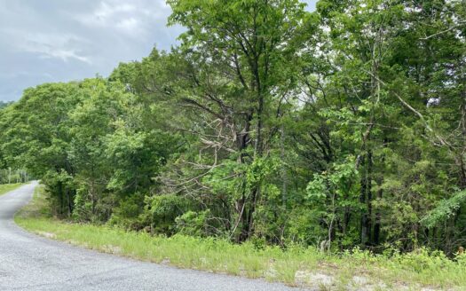 Buildable Lot in Holiday Island AR – Golf & Lake Community