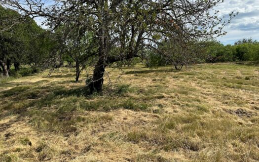 Home Lot 804 Kings Point Cove Hideout Golf Lake Brownwood TX