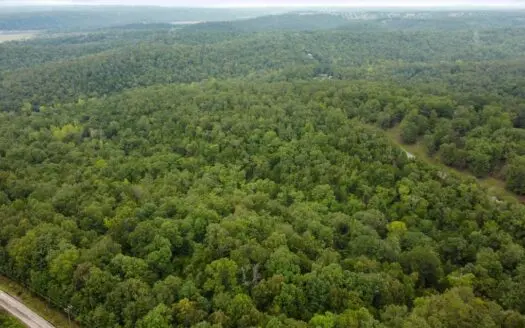 Build Your Dream Home Near Bull Shoals Lake & Golf Course