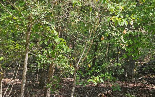 Build Your Dream Home Near Bull Shoals Lake & Golf Course