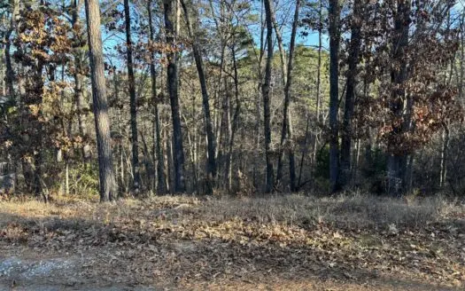 Buildable Lot in Heart of Outdoor Recreation Hub