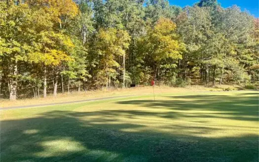 Golf Course Lot in Diamondhead Community Hot Springs AR