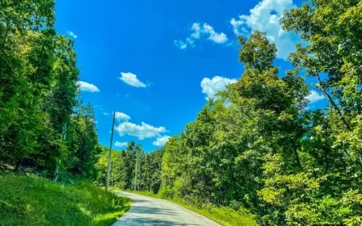 Holiday Island Lot Near Lakes, Golf & Eureka Springs!