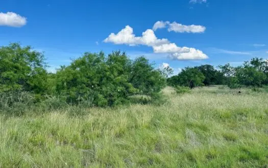 526 Beacon Cir The Hideout Golf Club & Resort Lake Brownwood TX