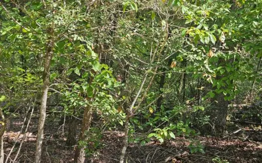 Build Your Dream Home Near Bull Shoals Lake & Golf Course