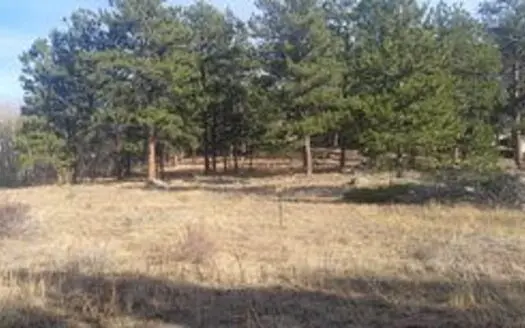 Northern Colorado Mountain Lot In Fox Acres Community