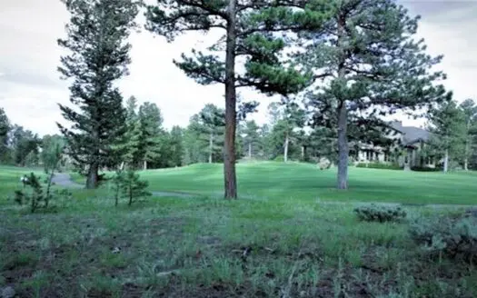 Luxury building lot Red Feather Lakes, CO