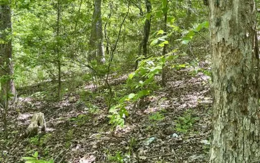 Holiday Island Lot Near Lakes, Golf & Eureka Springs!