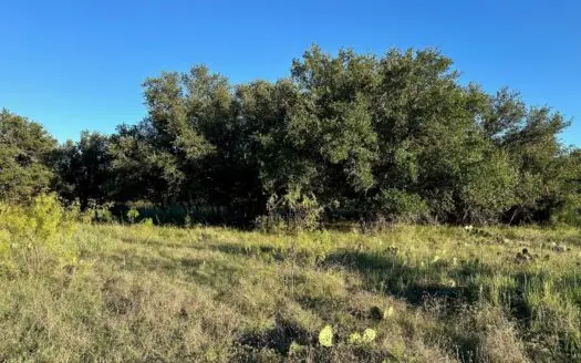 Lot 263 Build Your Home at The Hideout Near Lake Brownwood TX