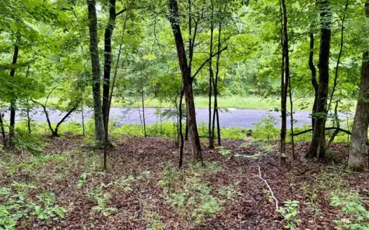 Holiday Island Lot Near Lakes, Golf & Eureka Springs!