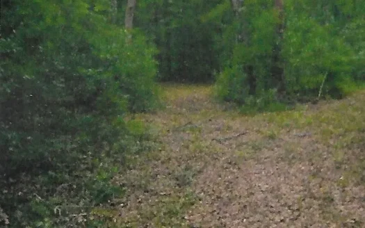 Land for Sale in Florida