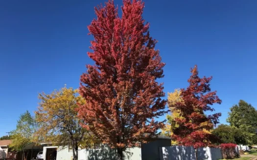 Country Home Northern, Ca with Views, Garage & Fenced