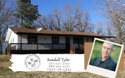 Ozarks in Town Home with Acreage for Sale in Salem Ar