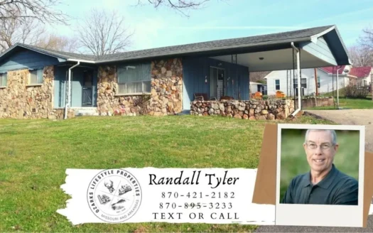 Ozarks in Town Home for Sale Salem Arkansas